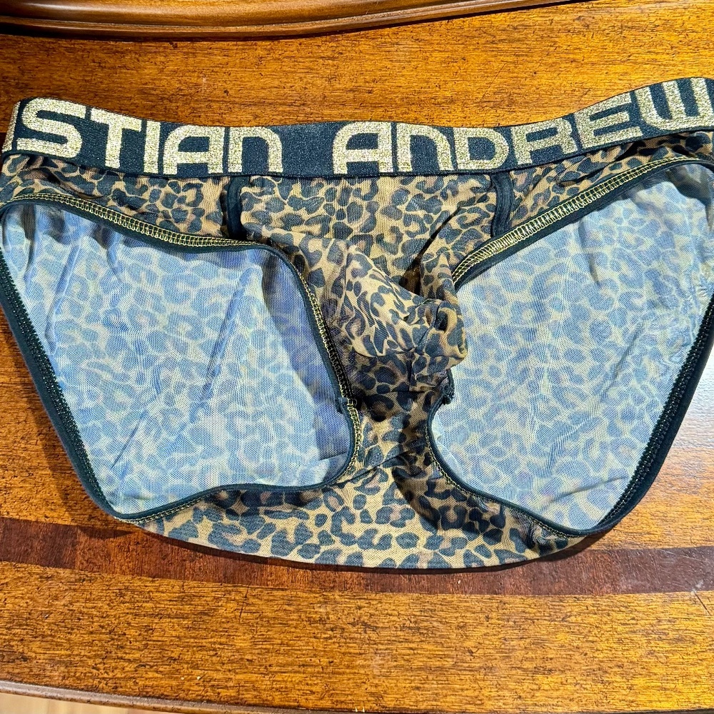 Andrew Christian Sheer Leopard Briefs